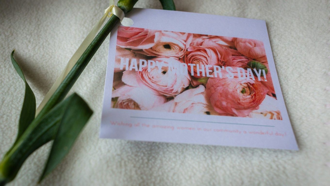 pink and white rose painting