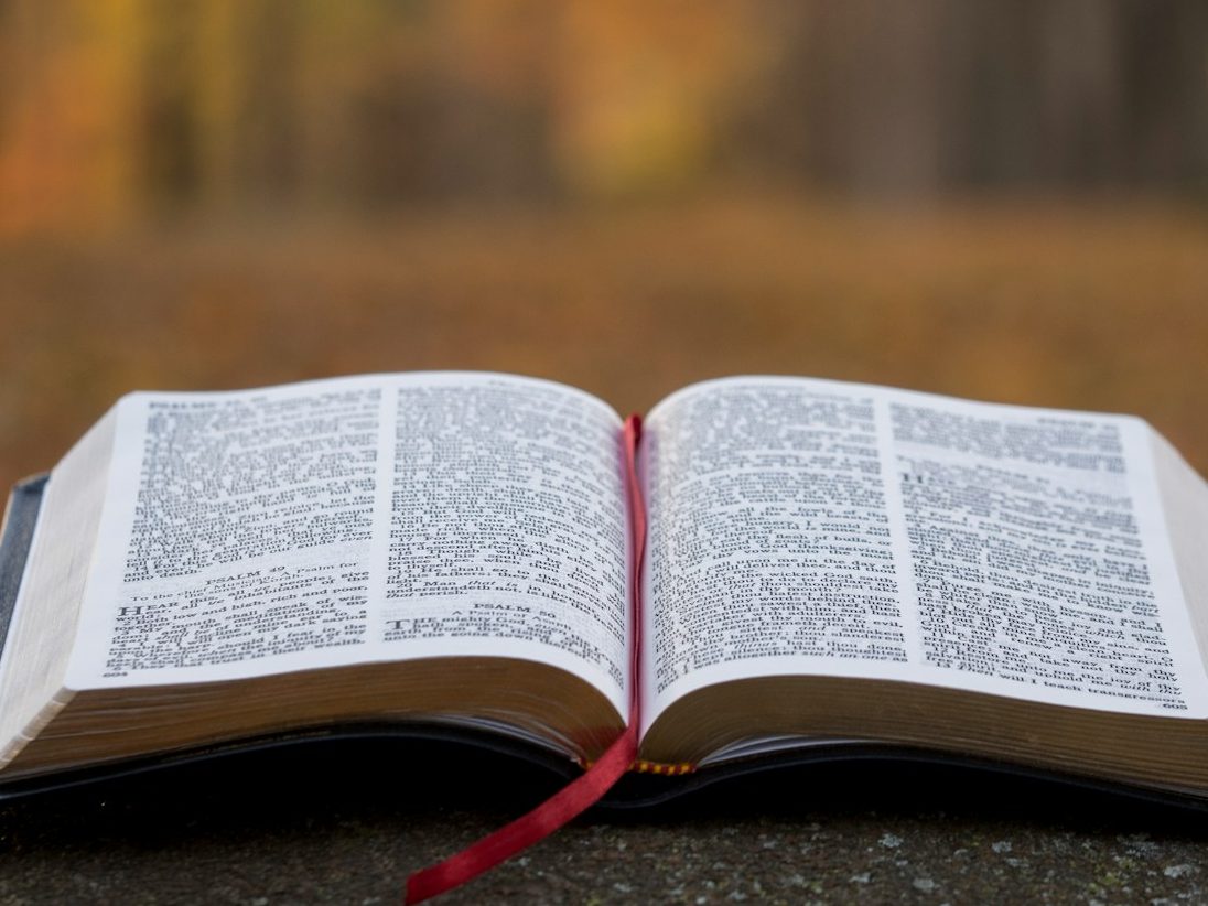 bible page on gray concrete surface