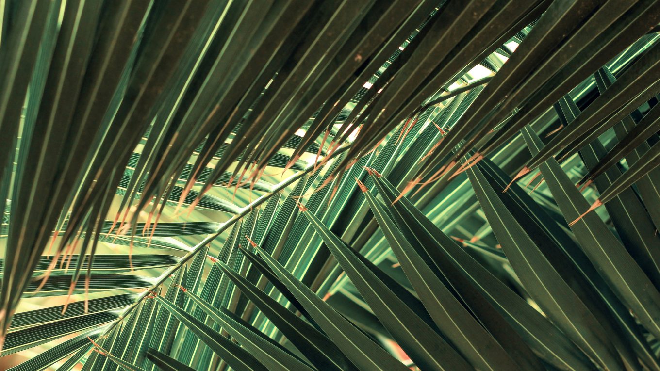 Photo by Valentin Salja on Unsplash